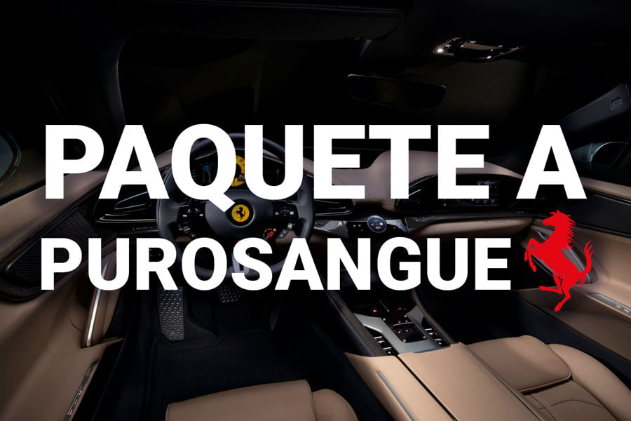 PAQUETE A – PUROSANGUE